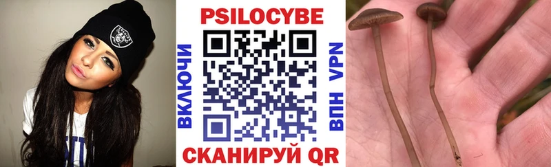 Псилоцибиновые грибы мицелий  Купить закладки  Грязи 